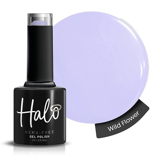 Halo Wildflower